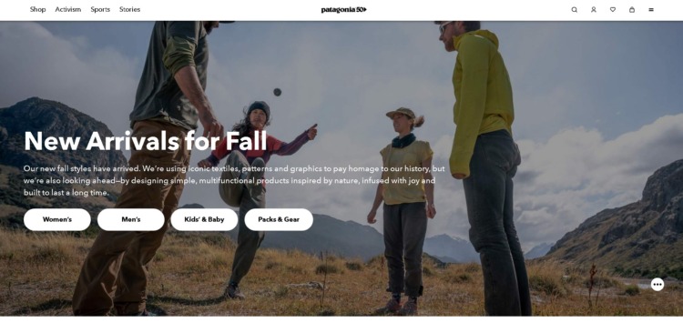 Patagonia Website Page