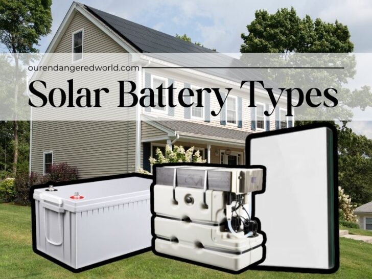 5 Important Different Types of Solar Batteries