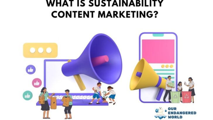 What Is Sustainability Content Marketing?