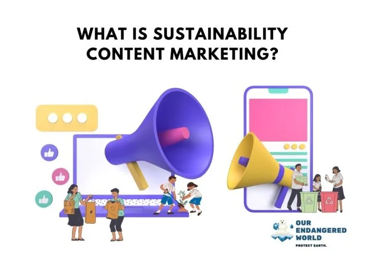 What Is Sustainability Content Marketing?