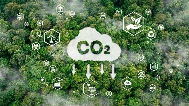 CO2 concept of Afforestation and Reforestation