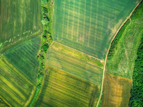 Bird eye view of agricultural land