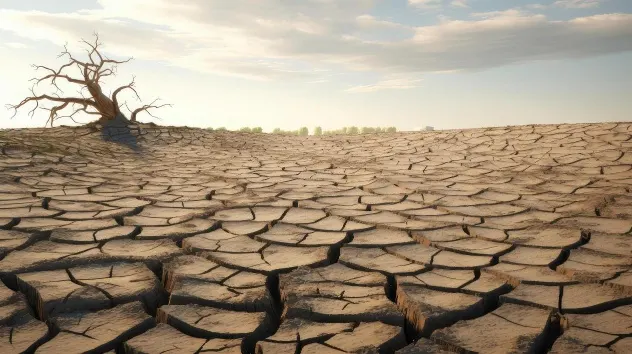 What is Climate Change Mitigation? Here's What to Know 10 Degraded land