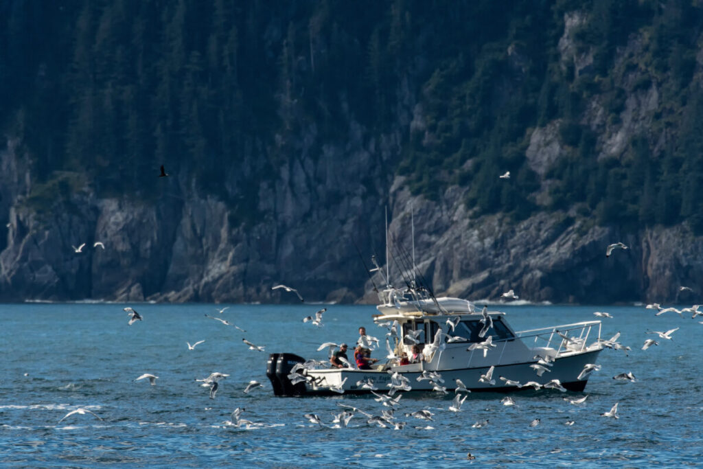 What is Overfishing? Examples & Solutions to Prevent 19 Boat for salmon fishing in Alaska coast