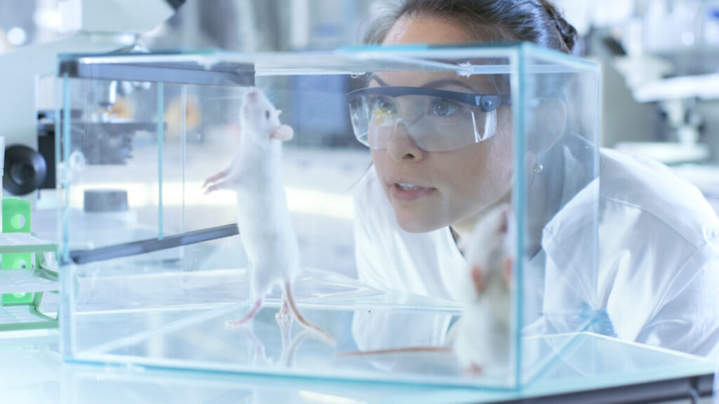 Is Dry Ice Bad for the Environment? 6 Medical Research Scientists Examines Laboratory Mice kept in a Glass Cage. She Works in a Light Laboratory.