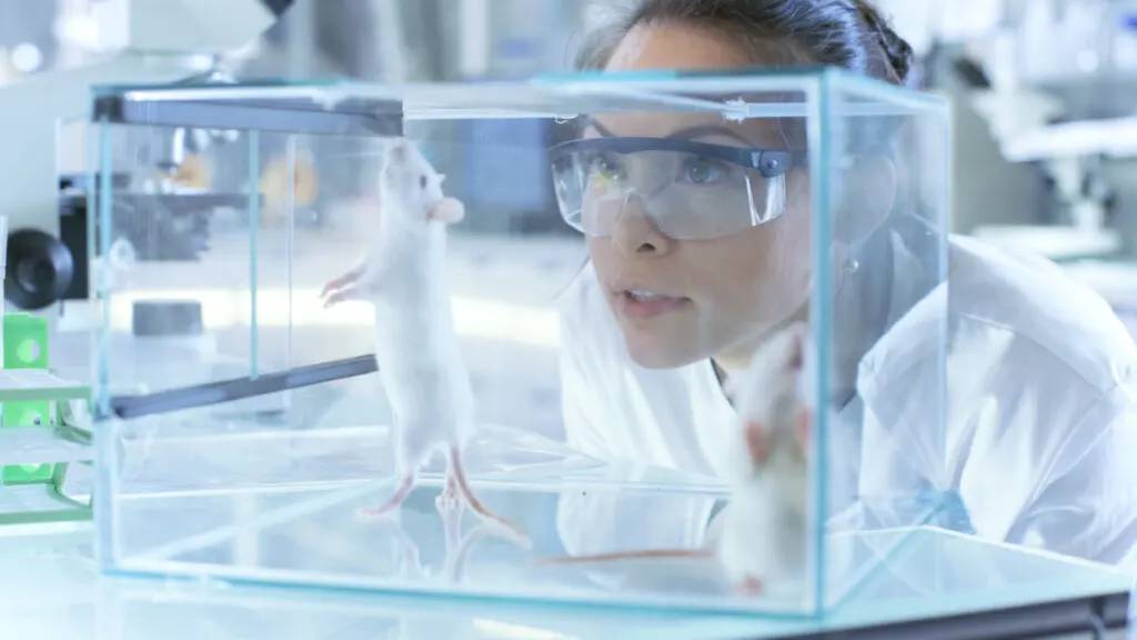 Is Dry Ice Bad for the Environment? 5 Medical Research Scientists Examines Laboratory Mice kept in a Glass Cage. She Works in a Light Laboratory.