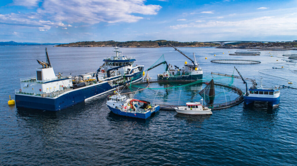 25 Fascinating Facts about Conservation 20 Salmon fish farm in Norway