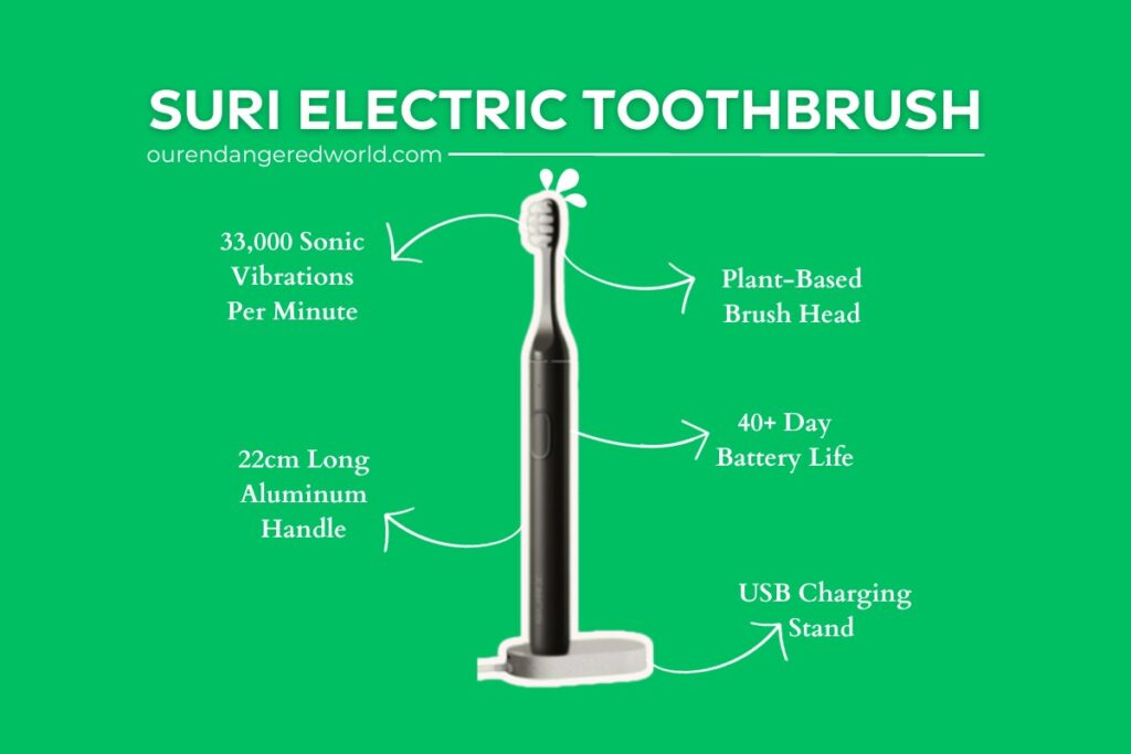 An Honest SURI Electric Toothbrush Review: Is It the Most Sustainable? 1 Suri Electric Toothbrush Review