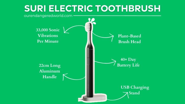 Suri Electric Toothbrush Review