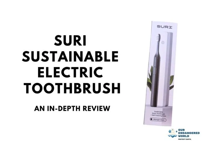 SURI Sustainable Electric Toothbrush: An In-Depth Review