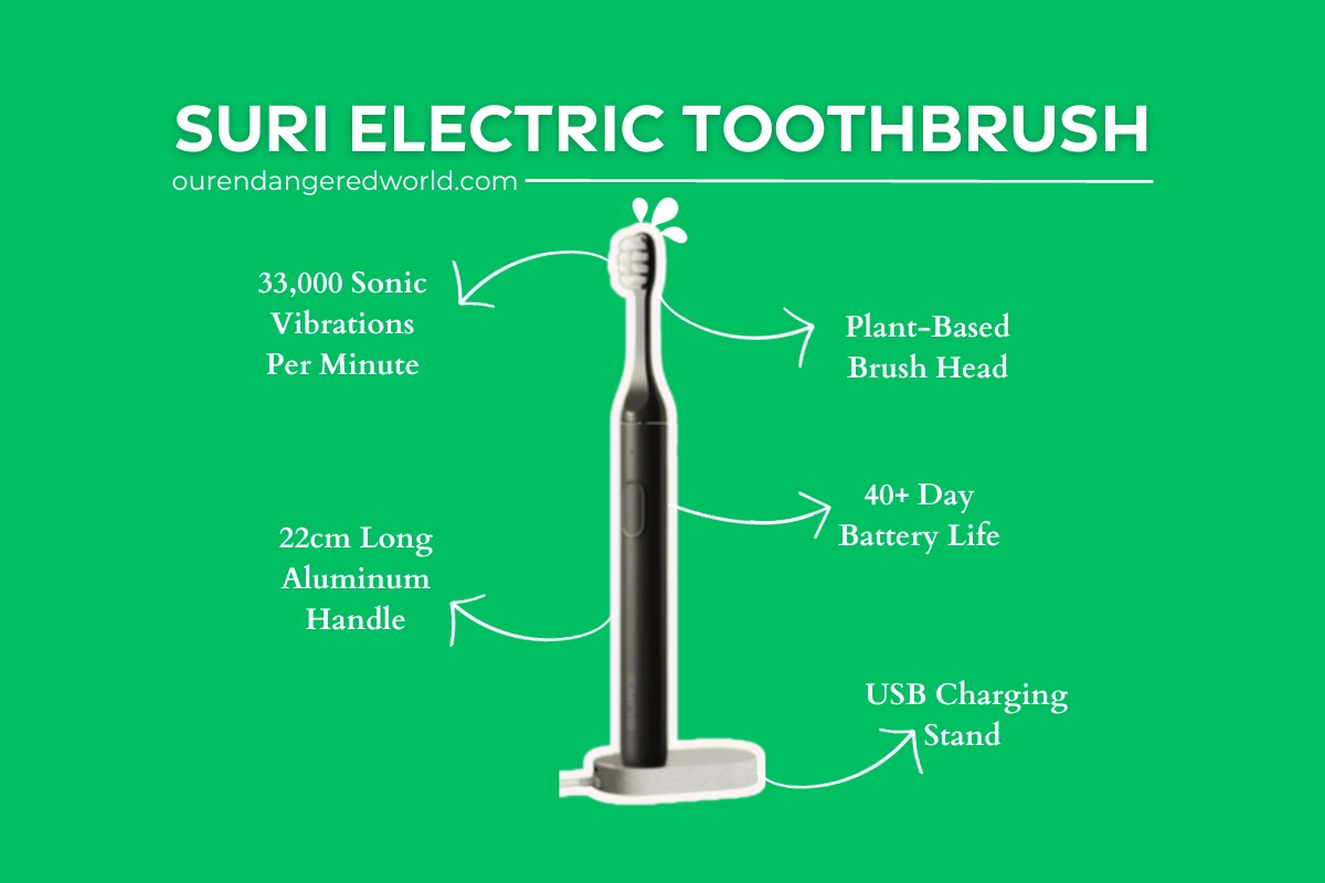 An Honest SURI Electric Toothbrush Review Is It the Most Sustainable?
