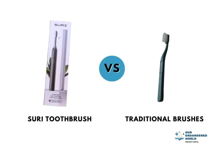 An Honest SURI Electric Toothbrush Review: Is It the Most Sustainable? 6 SURI Toothbrush vs. Traditional Brushes