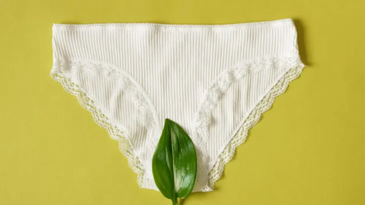 White Sustainable Underwear