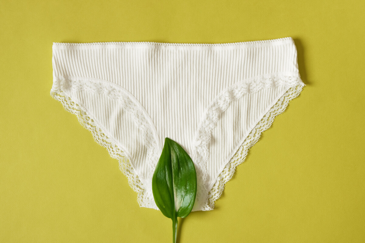 5 Best Sustainable Underwear: Eco-Friendly Options