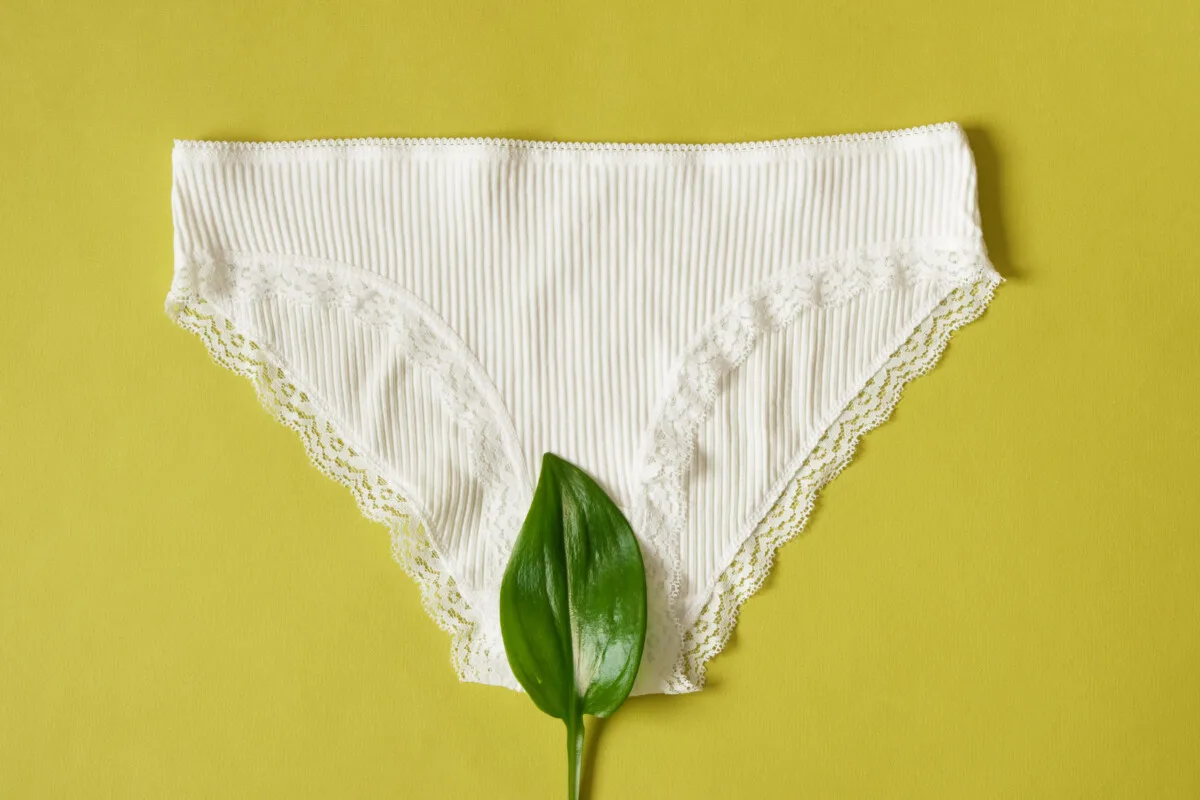 5 Best Sustainable Underwear: Eco-Friendly Options 7 5 Best Sustainable Underwear: Eco-Friendly Options