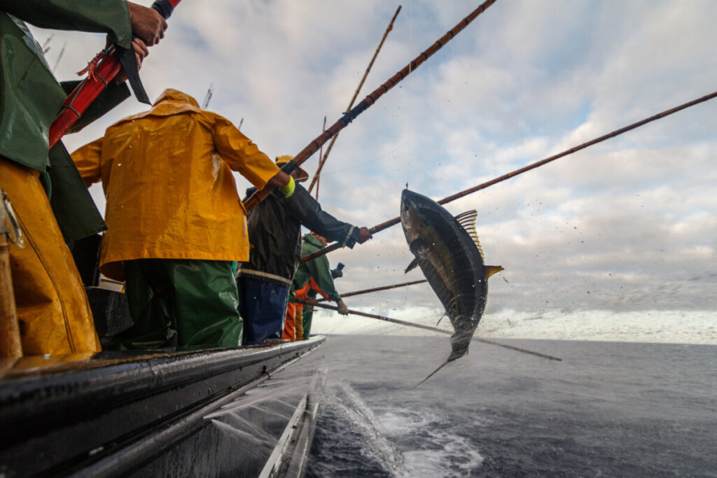 Group of men fishing tuna