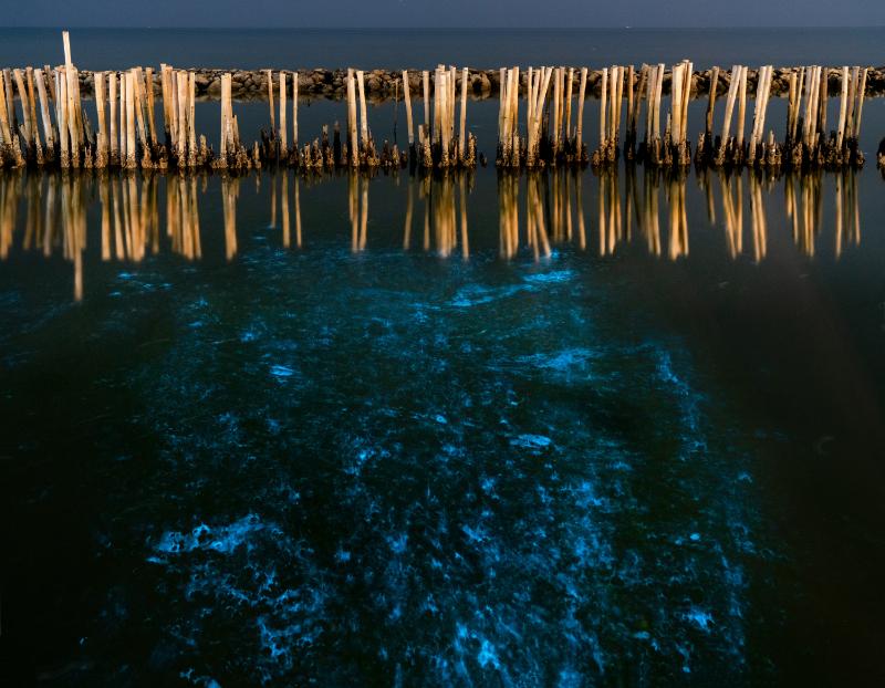 Beautiful scene of illuminate bioluminescent plankton glow blue fluorescent in night sea water