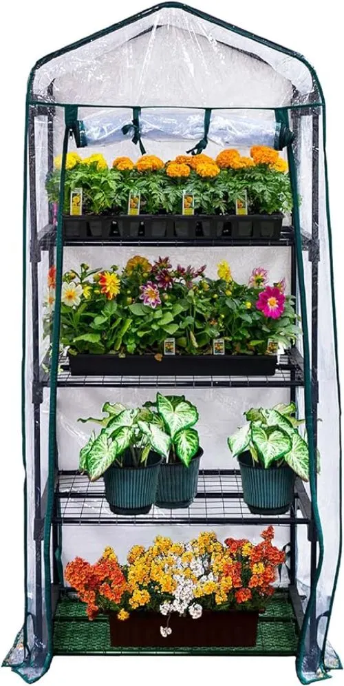 Gardman R687 mini greenhouse with various plants