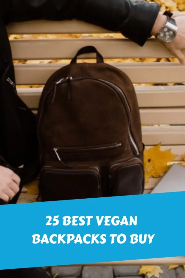 25 Best Vegan Backpacks to Buy generated pin 19482