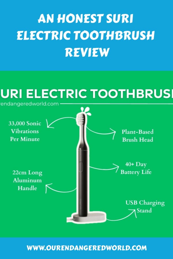 An Honest SURI Electric Toothbrush Review: Is It the Most Sustainable? 11 An Honest SURI Electric Toothbrush Review generated pin 30907