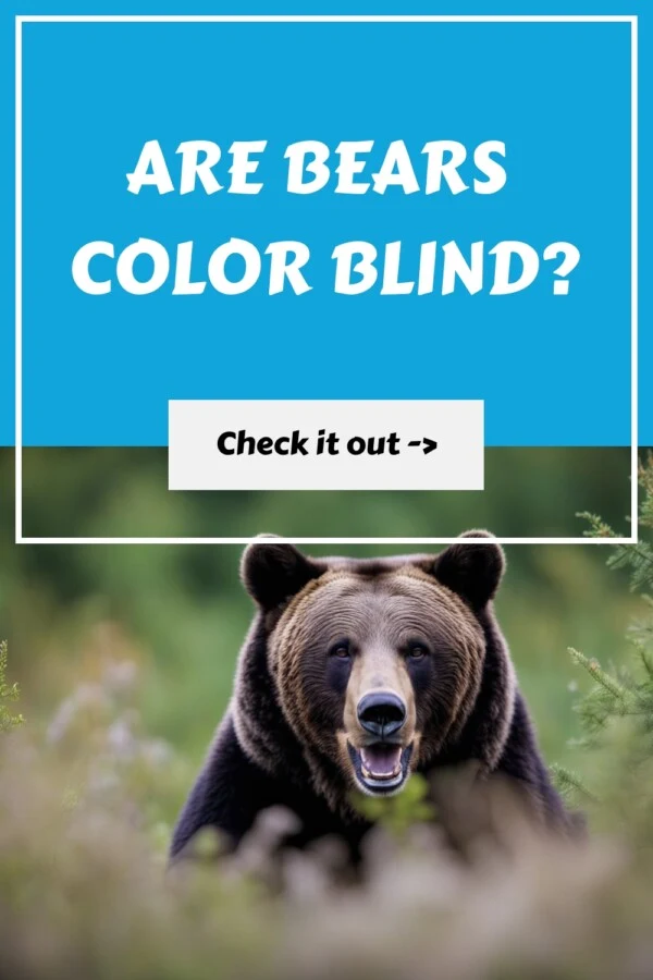 Are Bears Color Blind? Unveiling the Truth About Their Vision