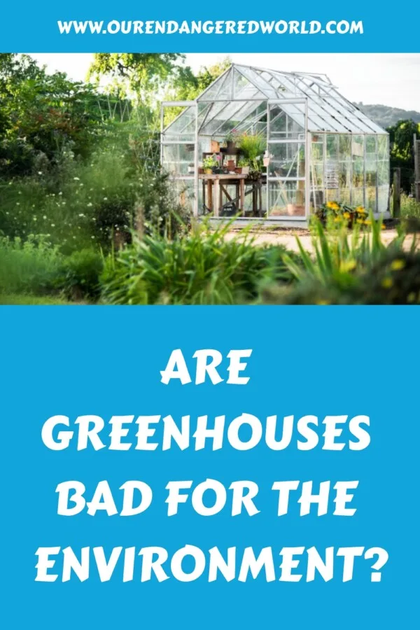 Are Greenhouses Bad for the Environment?