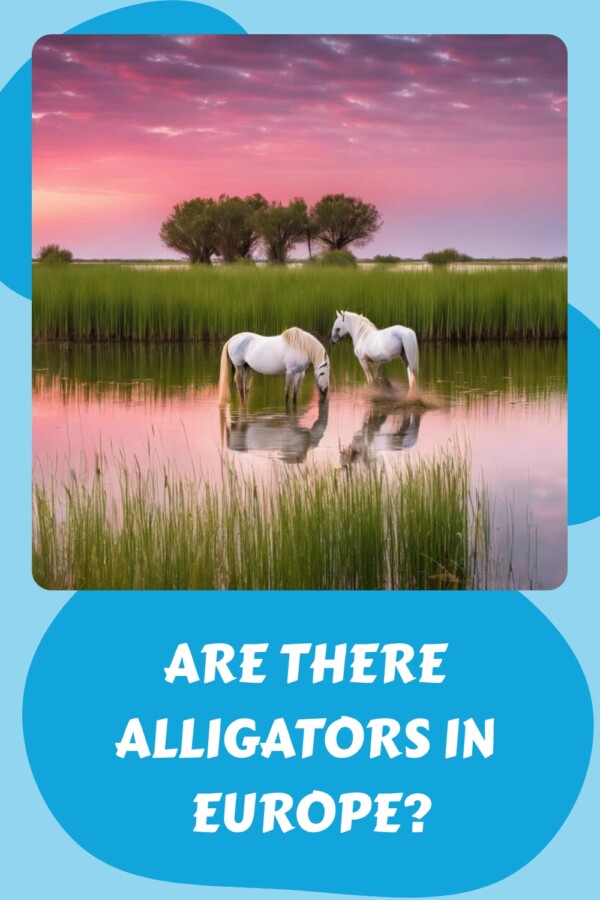 Are There Alligators in Europe generated pin 36373