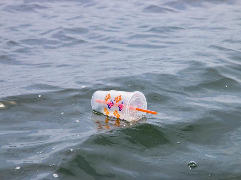 Ocean Plastic Crisis 2026: 8 Million Tons Dumped Yearly (Solutions That Work) 4 Chemical recycling