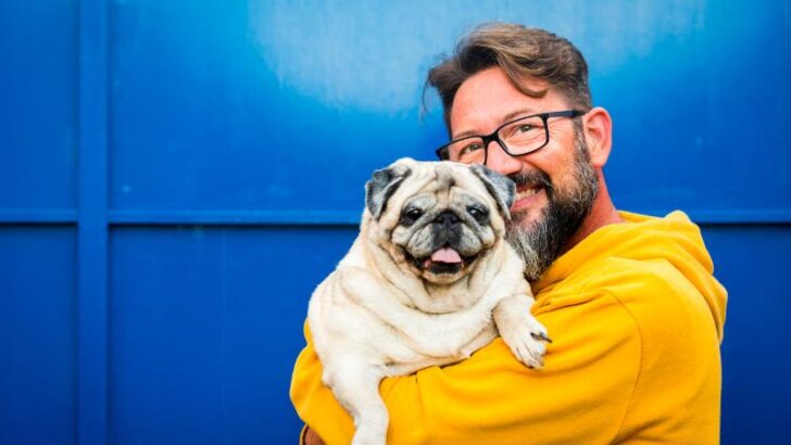 Cute pug smiling with dad