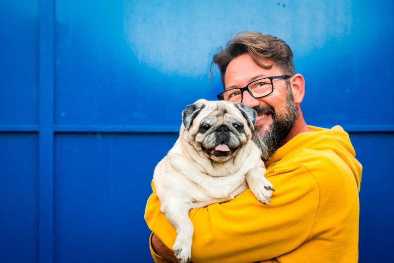 Cute pug smiling with dad