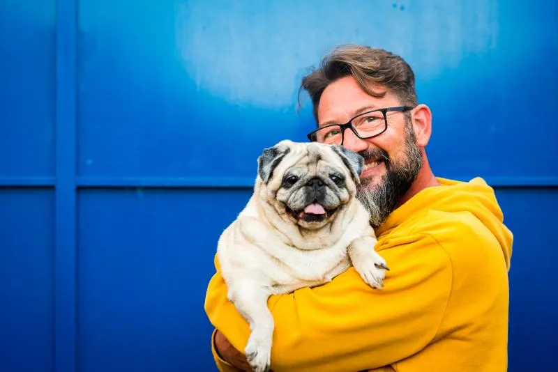 Do Animals Smile? A Scientific Investigation Into Animal Behavior 1 Cute pug smiling with dad