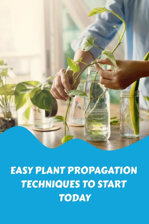 Easy Plant Propagation Techniques to Start Today generated pin 24946