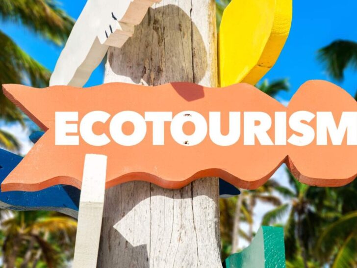 Eco-tourism sign board with palm trees in the background