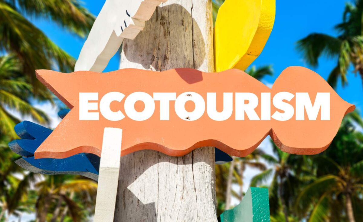 The Rise of Eco-Tourism: How to Travel Sustainably 2 The Rise of Eco-Tourism: How to Travel Sustainably