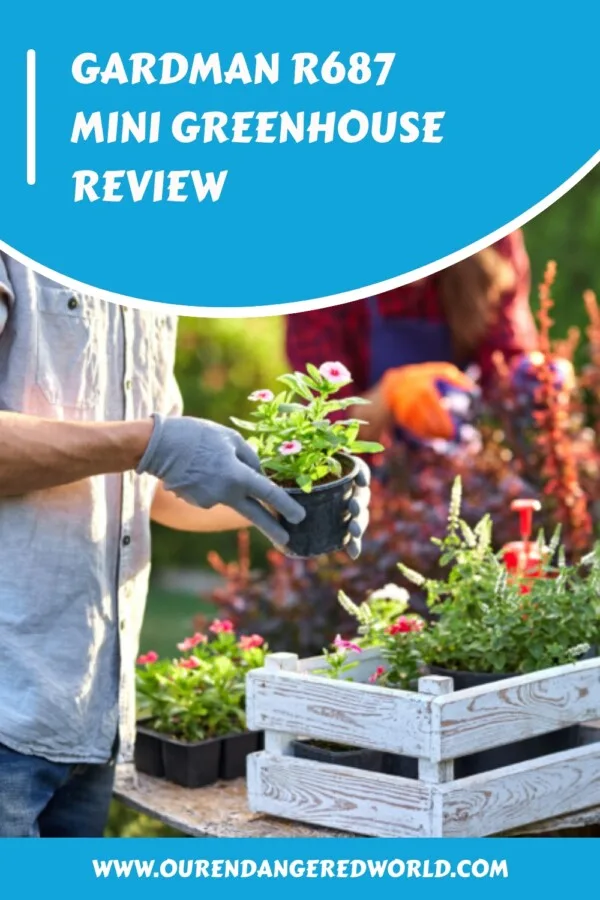 Gardman R687 Mini Greenhouse Review Is Your Garden GameChanger?