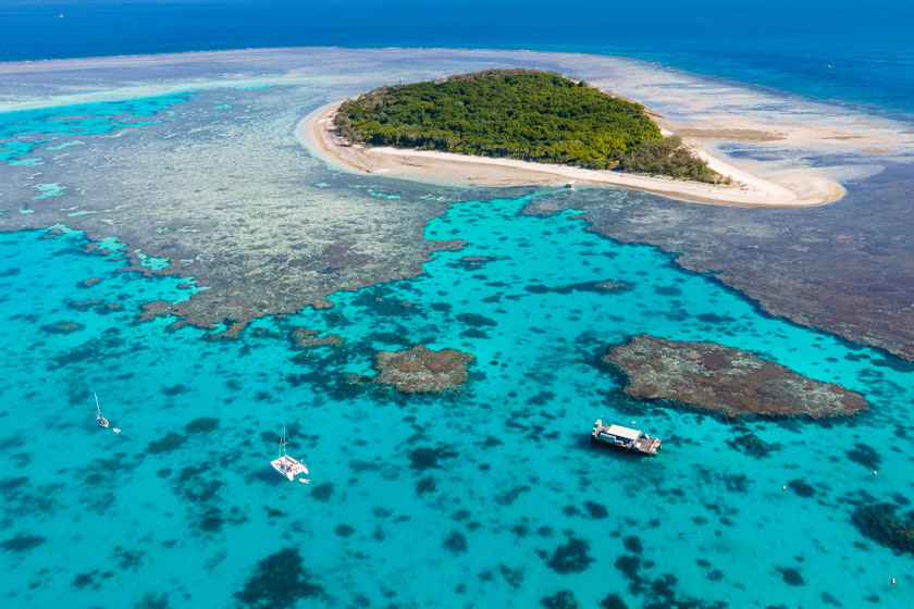 Marine Conservation Diving Tourism Guide 2026 6 Coral formations and reef fish on the Great Barrier Reef