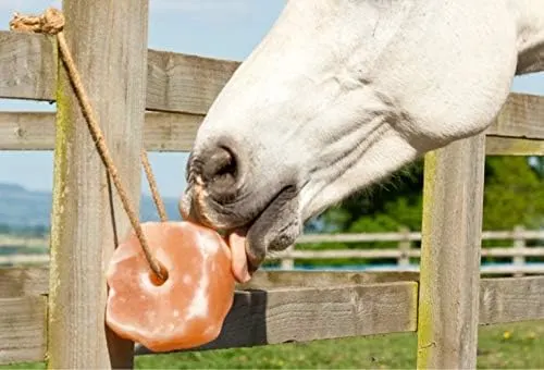 Horse salt lick
