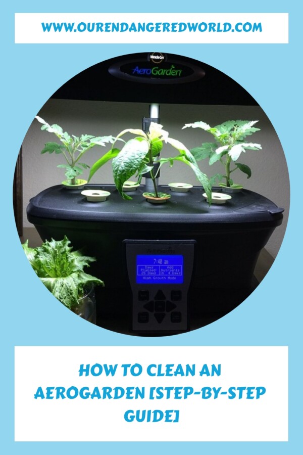 How to Clean an Aerogarden [StepbyStep Guide]