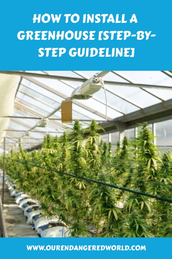 How to Install a Greenhouse Step by Step Guideline generated pin 3254