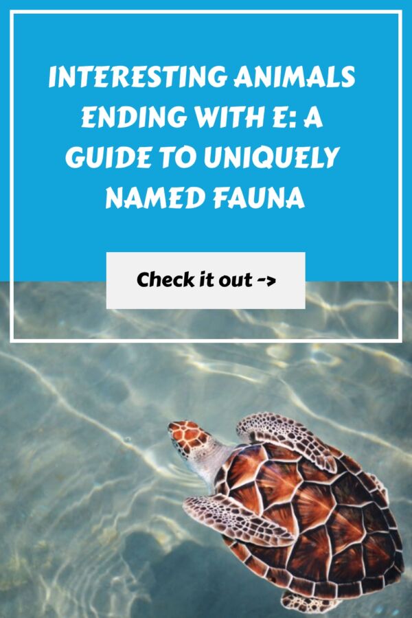 16 Animals Ending With E: Names, Facts, and Photos 18 Interesting Animals Ending with E A Guide to Uniquely Named Fauna generated pin 38745