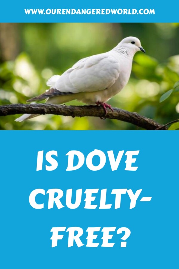 Is Dove Cruelty Free generated pin 34737