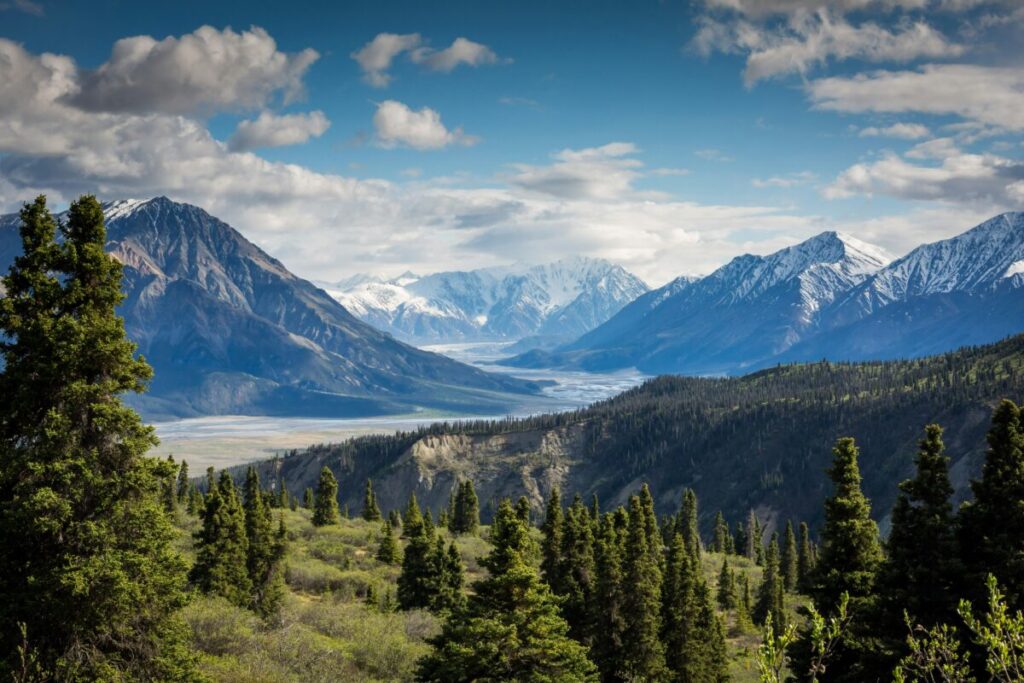 Wildlife Crisis 2026: How Climate Change Kills Species (And What You Can Do) 12 Mountain Ecosystem