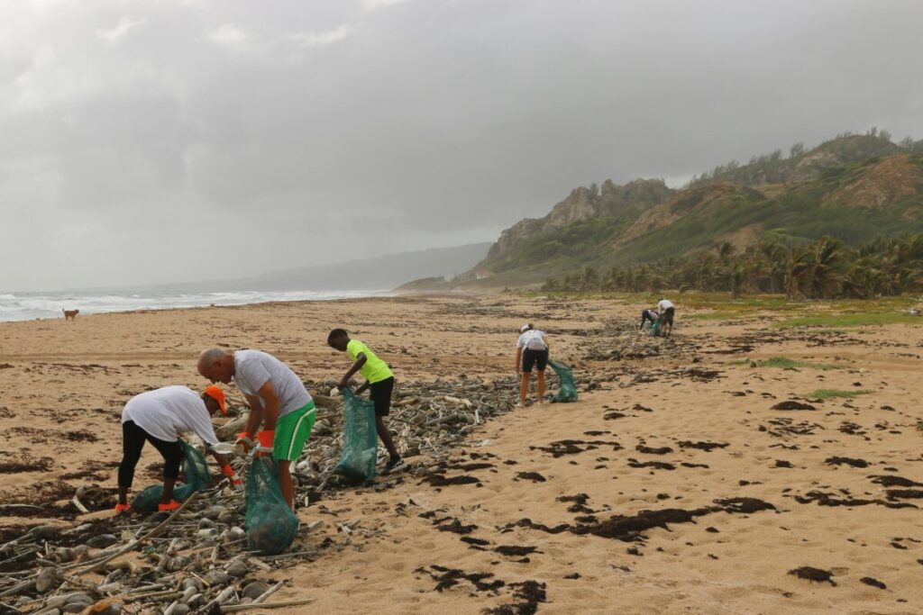 Ocean Plastic Crisis 2026: 8 Million Tons Dumped Yearly (Solutions That Work) 3 Ocean Cleanup Systems