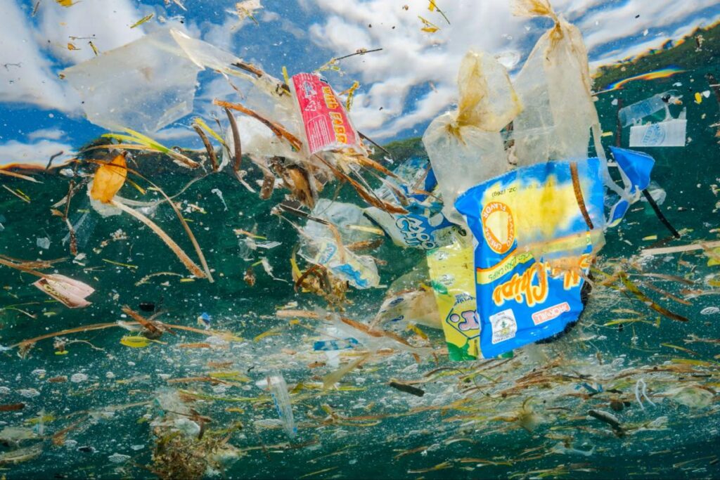 Ocean Plastic Crisis 2025: 8 Million Tons Dumped Yearly (Solutions That Work)