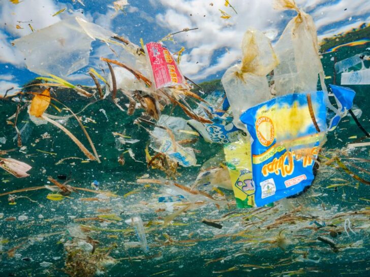 Ocean Plastic Crisis 2026: 8 Million Tons Dumped Yearly (Solutions That Work) 5 Ocean Plastic Crisis 2025: 8 Million Tons Dumped Yearly (Solutions That Work)