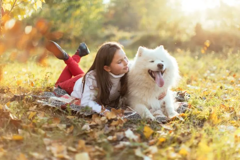Are Humans Animals? 15 Things to Know 19 Pet dog and human