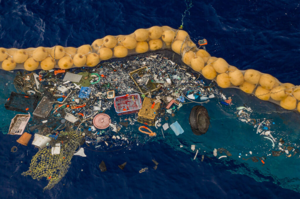 Ocean Plastic Crisis 2026: 8 Million Tons Dumped Yearly (Solutions That Work) 6 Synthetic Biology 1