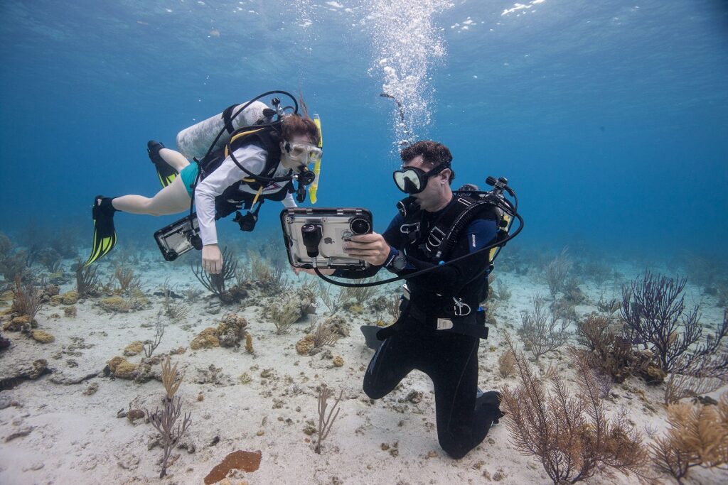 Marine Conservation Diving Tourism Guide 2026 11 Underwater monitoring equipment positioned near a coral reef