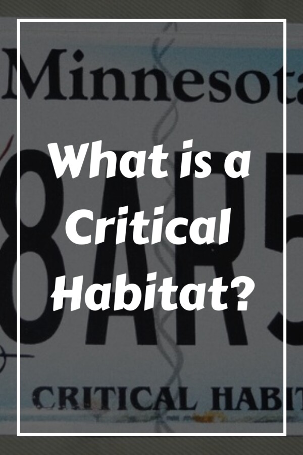 What is a Critical Habitat generated pin 21140