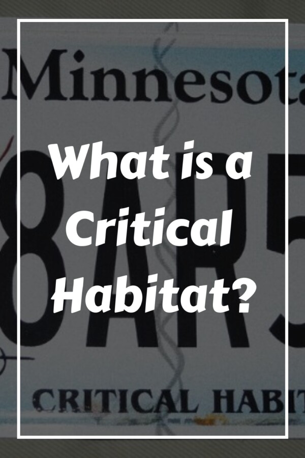 What Is Critical Habitat? Definition, Rules, and Examples 27 What is a Critical Habitat generated pin 21140
